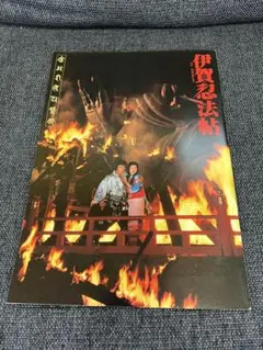 【非売品級】伊賀忍法帖 映画パンフレット 山田風太郎作品