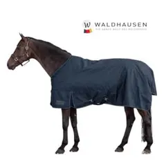 Item thumbnail for item 591cbbb4-0fac-4bad-91ab-581cdfd3822b