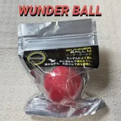 Item thumbnail for item 31838de0-9574-4c0a-8d91-cf6df8ac5c23