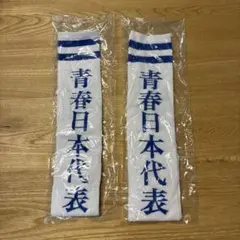青春日本代表 靴下 白 M/XL 2足セット　新しい学校のリーダーズのサムネイル