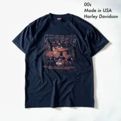 00s Harley-Davidson USA製 STURGIS 両面プリント