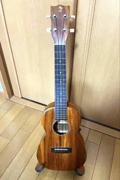 Item thumbnail for item 11d88c8c-06d5-4cb7-aa13-4e5654c1fbc3