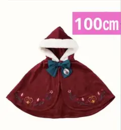 バースデイ　アナ　ポンチョ　100㎝