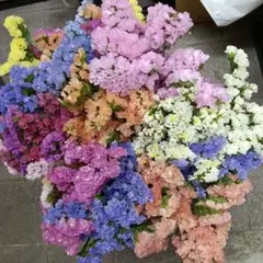 shops様 リクエスト 4点 まとめ商品