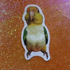 マリア★プロフ必読★様 リクエスト 3点 まとめ商品