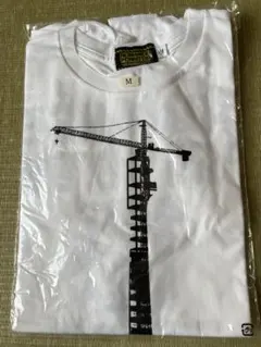 ポルノグラフィティ 20thライヴサーキット 