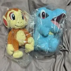 ポケモン　30周年　一番くじ　ヒコザル　ワニノコ