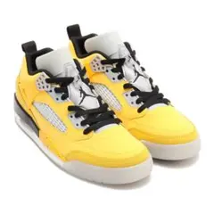 【残り一足！】ジョーダン スパイジーク ロー PRM 