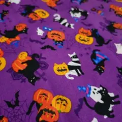 HAPPY HALLOWEEN クロネコ柄 パープル