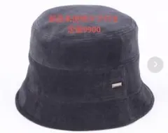 Item thumbnail for item 772a3ade-35bd-470b-be17-56d124c594b7