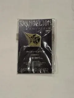 エヴァンゲリオン EVANGELION アスカ 二号機 ピンバッジ セット 新品