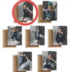 ヤクルトスワローズ　西川選手　アートパネル