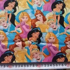 ディズニープリンセス シンデレラ ベル ラプンツェルＵＳＡコットン生地　送料込み