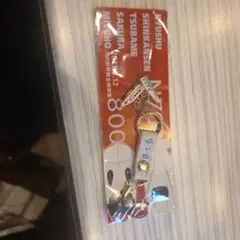 Item thumbnail for item 428dcf2d-9cb4-4b02-8456-dfd8f5e3e7f2