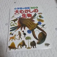 2025年最新】大むかしの生物の人気アイテム - メルカリ
