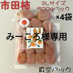 みーころ様専用　2Lサイズ500gパック×4袋