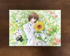 テニスの王子様 不二周助 グッズ まとめ売り