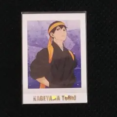 ハイキュー ぱしゃこれ PREMIUM 応援団 影山飛雄