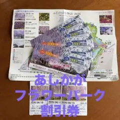 あしかがフラワーパーク　ふじのはな物語 2026 入園割引券のサムネイル