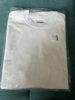 DAIWA PIER39 TECH LIGHTWEIGHT TシャツM