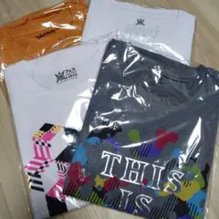 Item thumbnail for item ea4c76ab-2785-4038-b420-5cfea4c2f15d