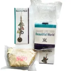 最終価格　嵐　ライブグッズ ペンライト　ストラップ　チャーム　こものいれ