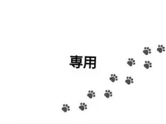 セイヤ様 リクエスト 4点 まとめ商品