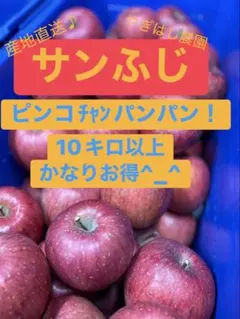 青森県産サンふじ家庭用！減農薬