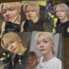 &TEAM NICOLAS ソロジャケ封入コンプ+スプサ weverse