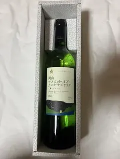 Item thumbnail for item 49a87c9b-e10e-4aef-b145-a6ab280abf47