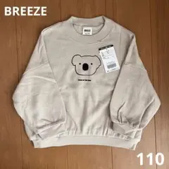 Item thumbnail for item 7c40ea44-00ec-4112-9c71-9321385f7881