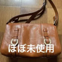(お値下)Dakota レザーショルダーバッグ ブラウンのサムネイル