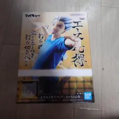 ハイキュー!! エースの心得　木兎光太郎 フィギュア　飛①