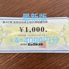ビックカメラ　株主優待　　1000×4=4000円分商品券