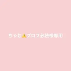 2026年最新】プロフ必読の人気アイテム - メルカリ