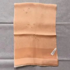 Item thumbnail for item 242db905-93e7-4f7d-ba4b-d5fdc528dab9