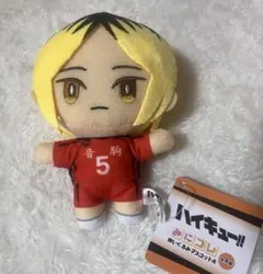 ハイキュー！みにコレ！ぬいぐるみマスコットvol4