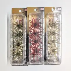 ハイドアップ 旧コイケ 初期 廃盤 超希少 5箱セット ☆ - メルカリ