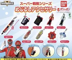 スーパー戦隊シリーズめじるしアクセサリーフルコンプセット