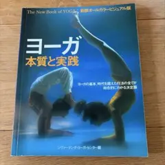 ヨーガ 本質と実践 GAIA BOOKS