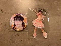 小熊まむ アクキー 缶バッジ