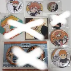 ハイキュー　日向翔陽　ナンジャタウン　缶バッジ　アクリル　セット