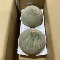 161茨城県産旭村クインシーメロン(赤肉) 秀品5Lサイズ1箱2玉入 - メルカリ
