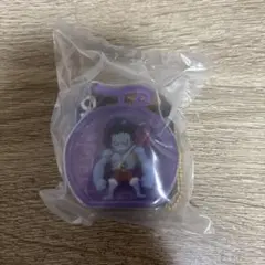 ワンピの実　ミクロ　シークレット