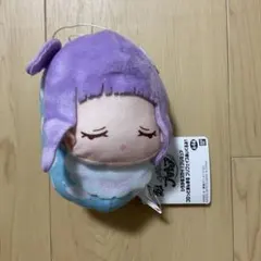 ひろがるスカイ！プリキュア　コロっとまんまる　プリフェイスぬいぐるみ１　未使用