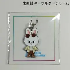 straykids スキズ ペンライト2 リボン ストラップ リノ リービット 2026年最新】straykids ペンライトストラップ リノの人気アイテム