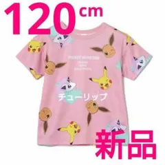 120 半袖シャツ 女の子 Tシャツ ポニータ ピカチュウ イーブイ ポケモン