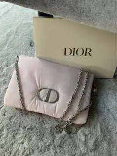 新品未使用〗DIOR 激レア入手困難 ༘*⋆ メタルロゴ クラッチ ポーチ