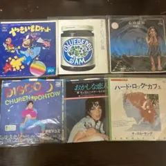 アシュオ様専用