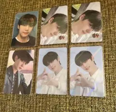 ギュビン トレカ zb1